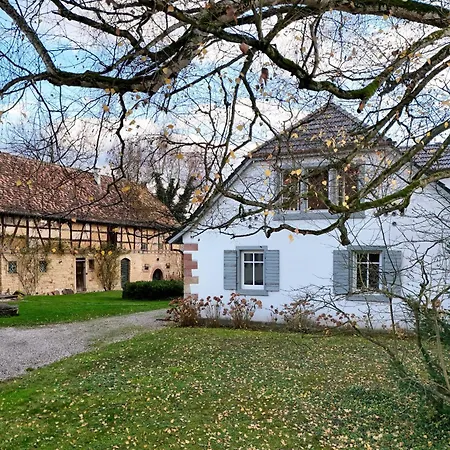 Altmuehle Daire Herxheim