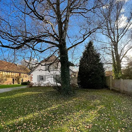 Altmuehle Daire Herxheim